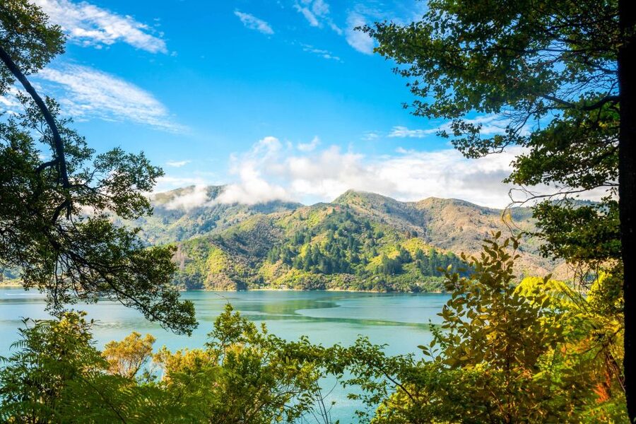 Queen Charlotte Track: Cruise & Self-Guided Hike from Picton - Practical packing advice