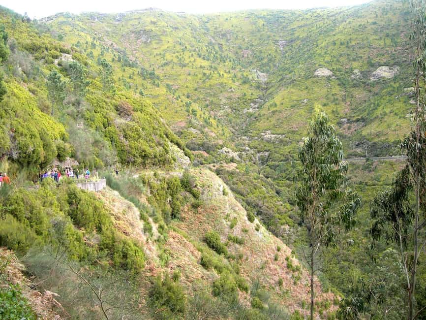 Rabaçal: 25 Fontes & Risco Levada Hiking Transfer - Key points before you book