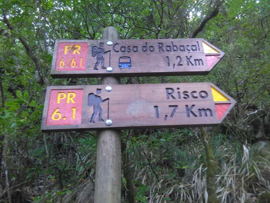 Rabaçal: 25 Fontes & Risco Levada Hiking Transfer - Booking advice: choose the early van if you can