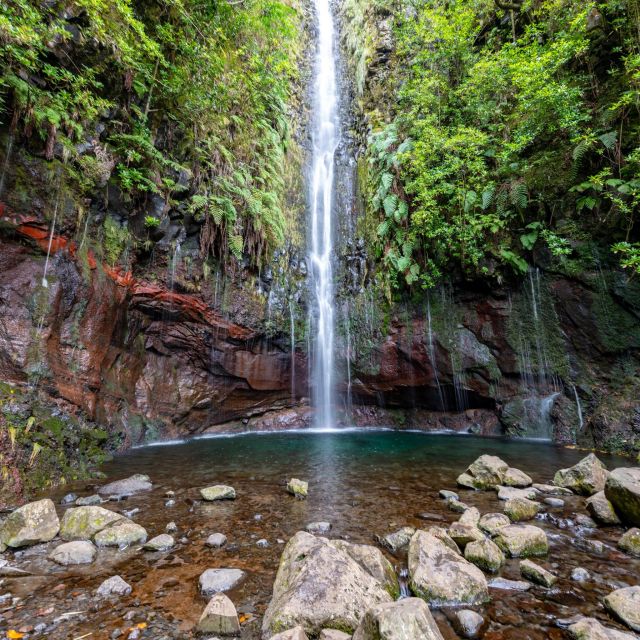 Rabaçal: 25 Fontes & Risco Levada Hiking Transfer - Why the early start changes the 25 Fontes experience