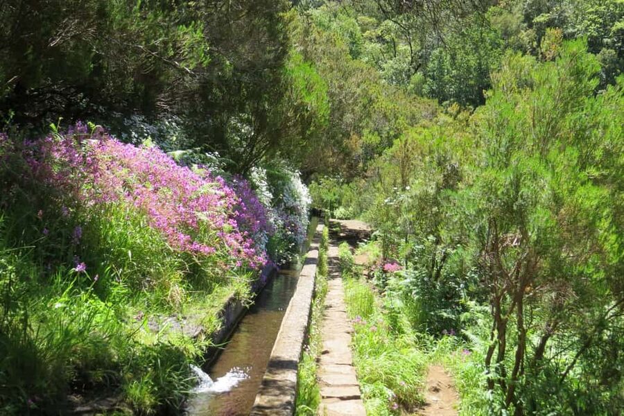 Rabaçal: 25 Fontes & Risco Levada Hiking Transfer - Weather, clothing, and the small items that matter