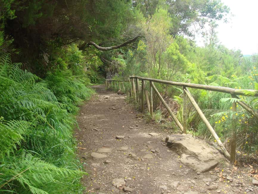Rabaçal: 25 Fontes & Risco Levada Hiking Transfer - Is $40 good value for this Madeira day out?