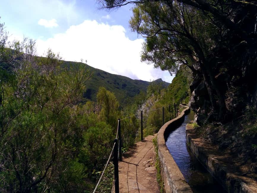 Rabaçal: 25 Fontes & Risco Levada Hiking Transfer - Who will enjoy this walk most