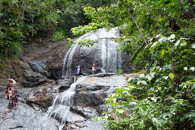 Rainforest Hike and Waterfall Safari - Quick facts about the rainforest safari