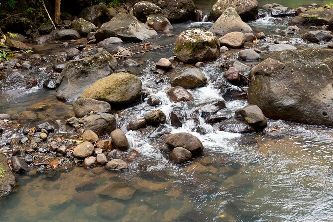 Rainforest Hike and Waterfall Safari - What the $66.67 price includes
