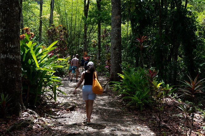 Rainforest Hike and Waterfall Safari - Who should book this St. Lucia outing