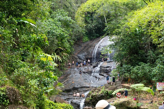 Rainforest Hike and Waterfall Safari - Fruit plantations, local life, and the Anse La Raye approach