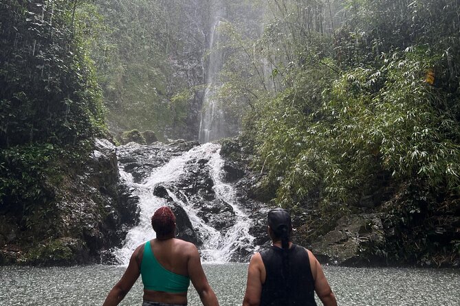 Rainforest Hike to Hidden Waterfall in Puerto Rico with Transport - Who should book, and who should think twice