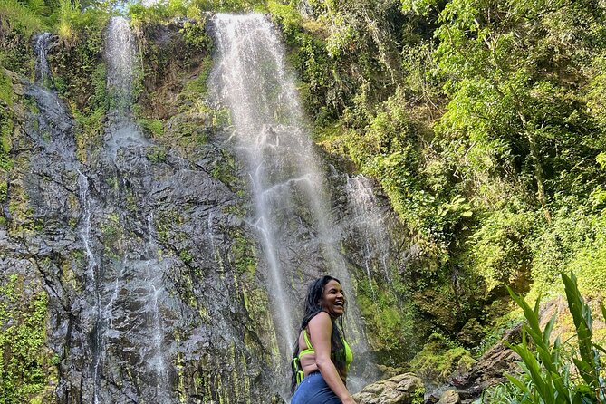 Rainforest Hike to Hidden Waterfall in Puerto Rico with Transport - From Isla Verde to Bayamón’s forest