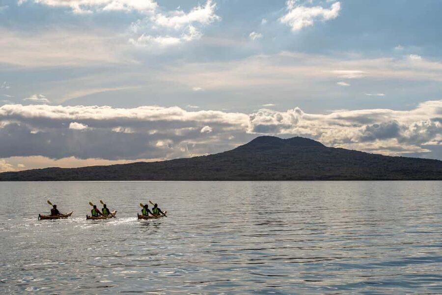 Rangitoto Island: Sea Kayak & Summit Hike Day Trip - Why Rangitoto works best from the water