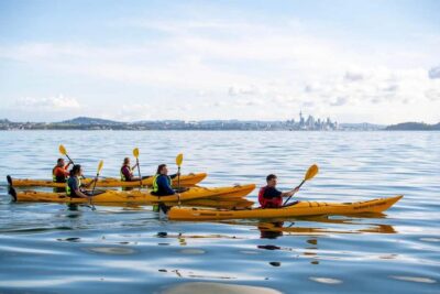 Rangitoto Island: Sea Kayak & Summit Hike Day Trip