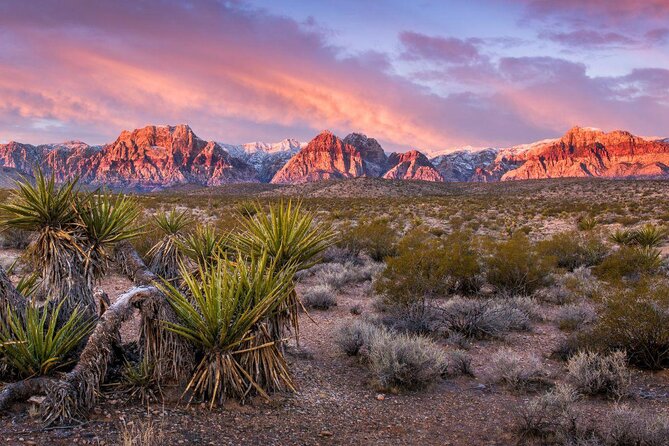 Red Rock Canyon Hike with Transport from Las Vegas - Key points to know before booking