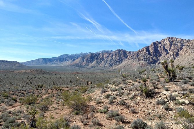 Red Rock Canyon Hike with Transport from Las Vegas - Guides who add the human touch