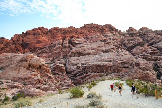 Red Rock Canyon Hike with Transport from Las Vegas - Scenery, wildlife of the desert, and photo stops