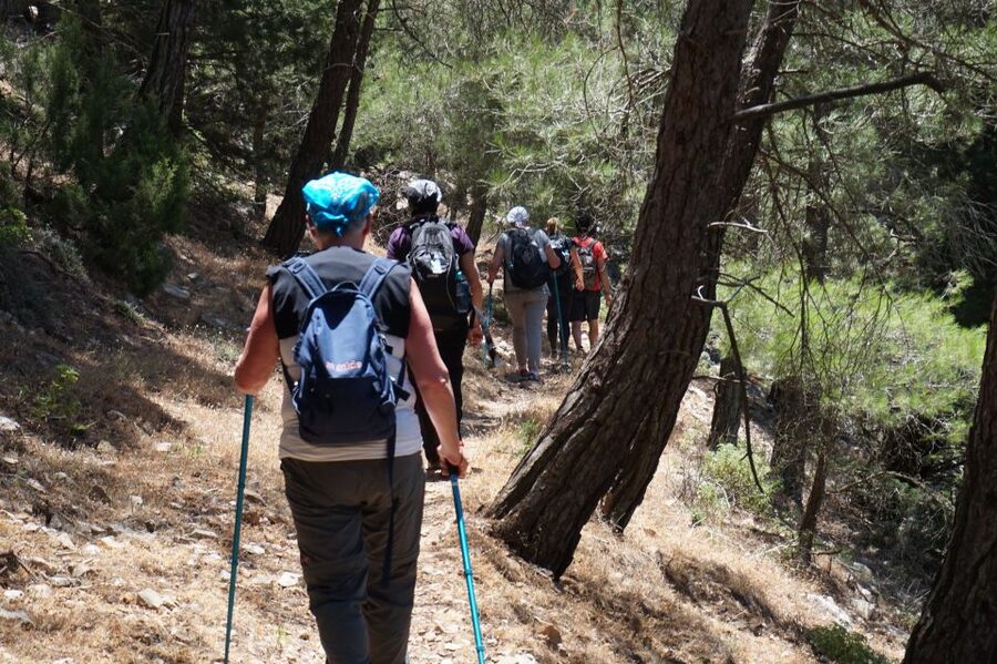 Rhodes: Hiking Tour to the Summit of Akramitis with Photos - The hardest climb comes before the chapel