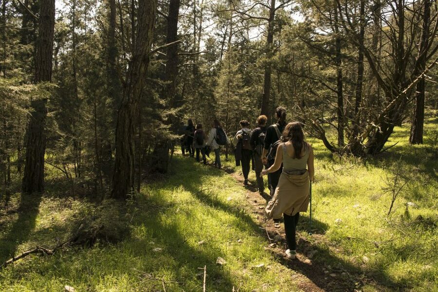 Rhodes: Hiking Tour to the Summit of Akramitis with Photos - St John’s chapel and the homemade Greek snack