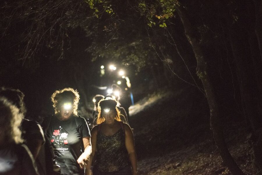 Rhodes: Profitis Ilias Guided Sunset Hike - Descending by headlamp