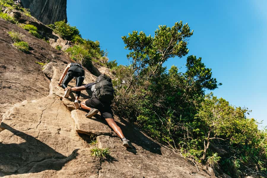 Rio de Janeiro: Pedra da Gávea Guided Hike Tour - Starting in the forest below the summit