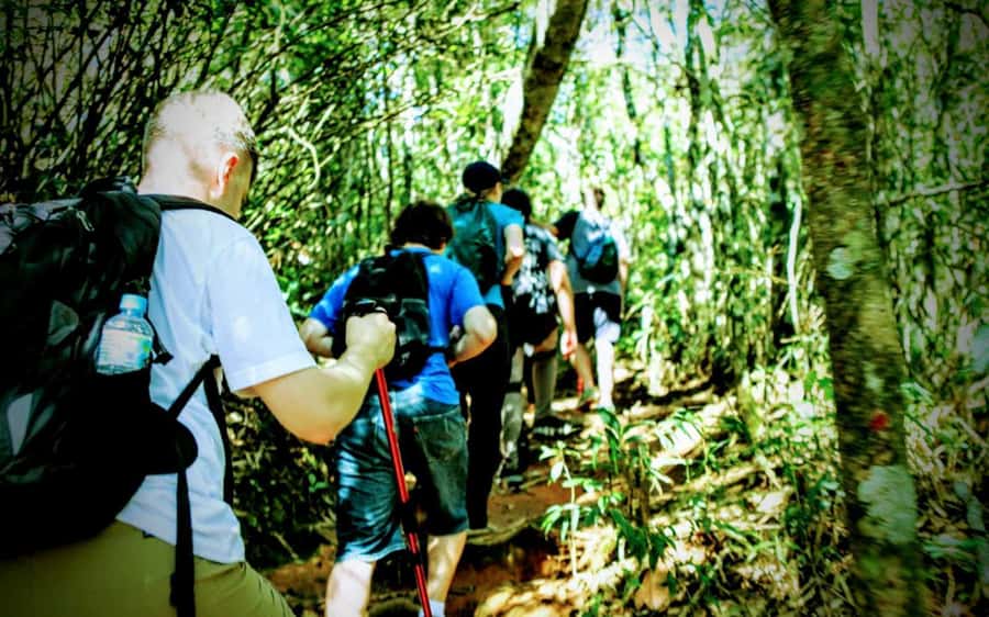 Rio de Janeiro: Tijuca Forest Challenge Hike Full-Day Trip - Who should book this hike?