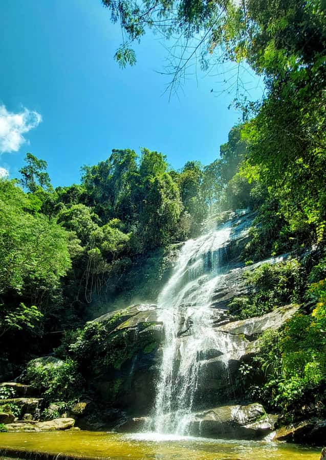 Rio de Janeiro: Tijuca Forest Challenge Hike Full-Day Trip - Two viewpoints, two sides of Rio