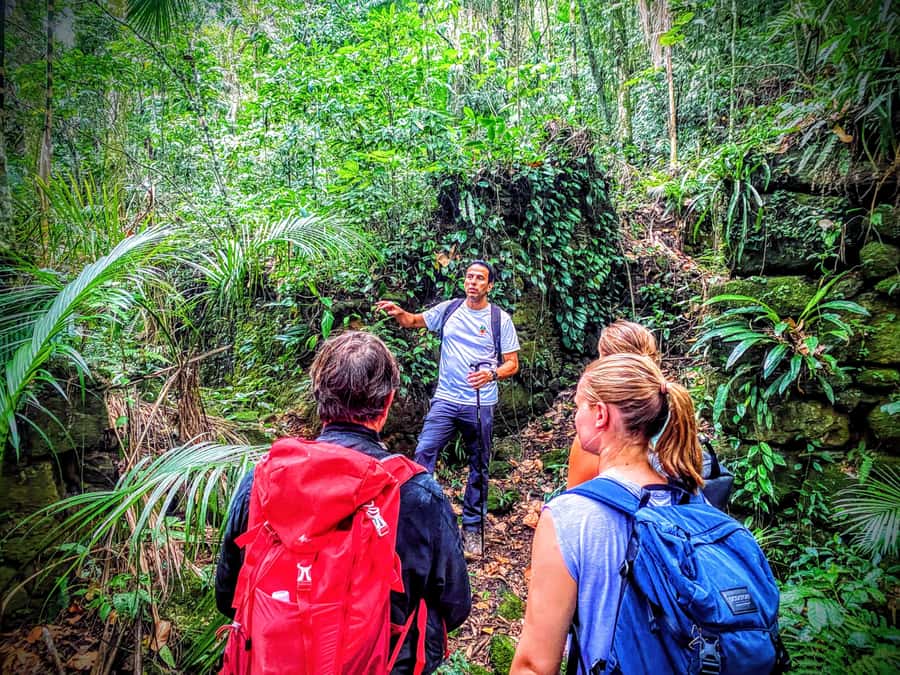 Rio de Janeiro: Tijuca Forest Challenge Hike Full-Day Trip - Guides make a real difference