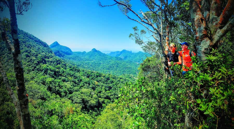 Rio de Janeiro: Tijuca Forest Challenge Hike Full-Day Trip - Price, preparation, and value