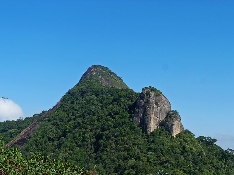 Rio de Janeiro: Tijuca Peak Guided Hike - Who should book this hike?