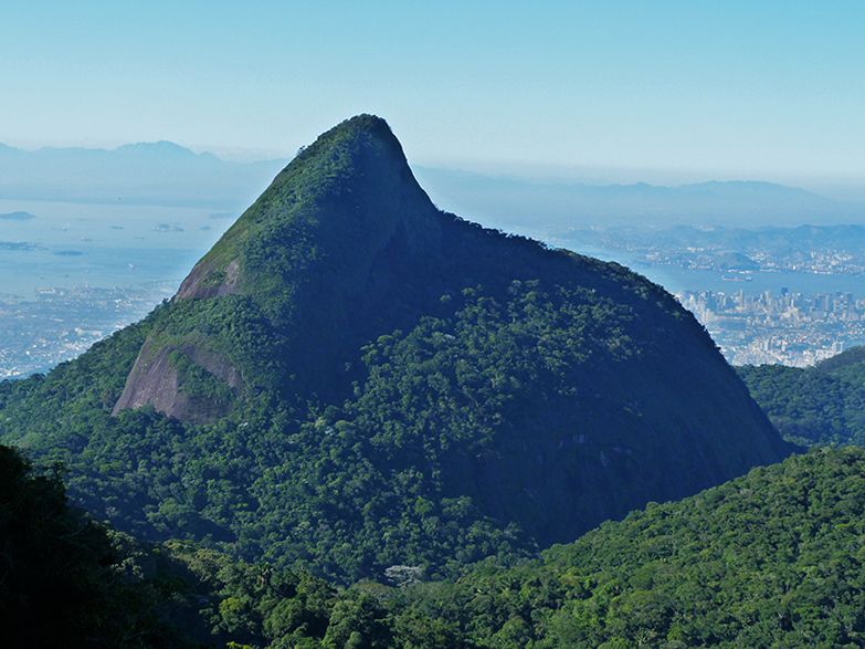 Rio de Janeiro: Tijuca Peak Guided Hike - Why Pico da Tijuca is worth your time