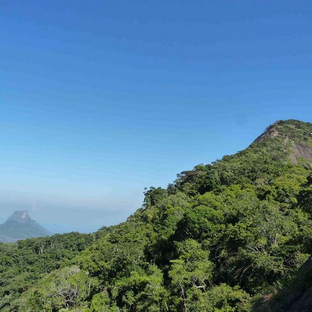 Rio de Janeiro: Tijuca Peak Guided Hike - Cachoeira das Almas and the forest’s quieter side