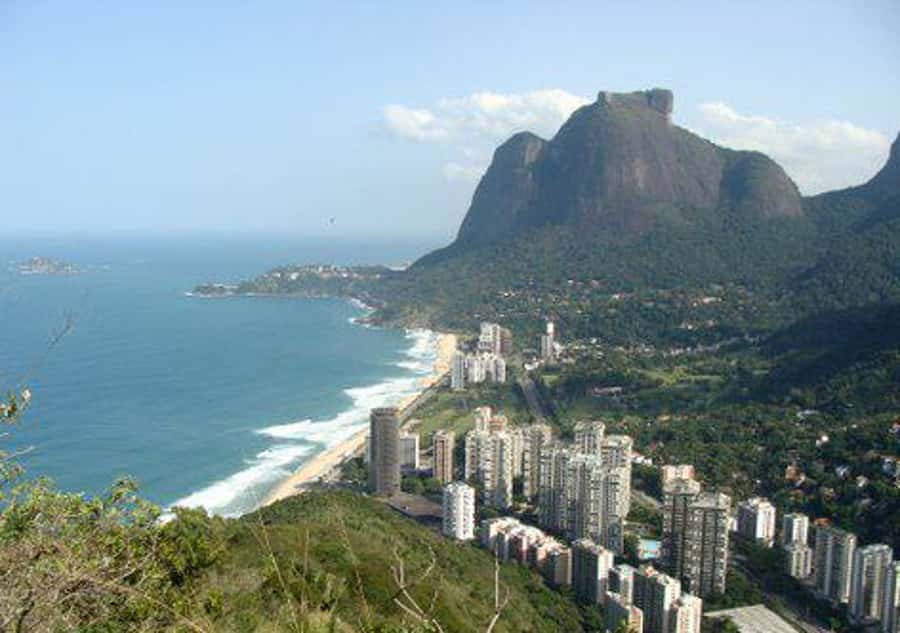 Rio de Janeiro: Vidigal Favela Tour and Two Brothers Hike - The forest trail and first viewpoint over Rocinha