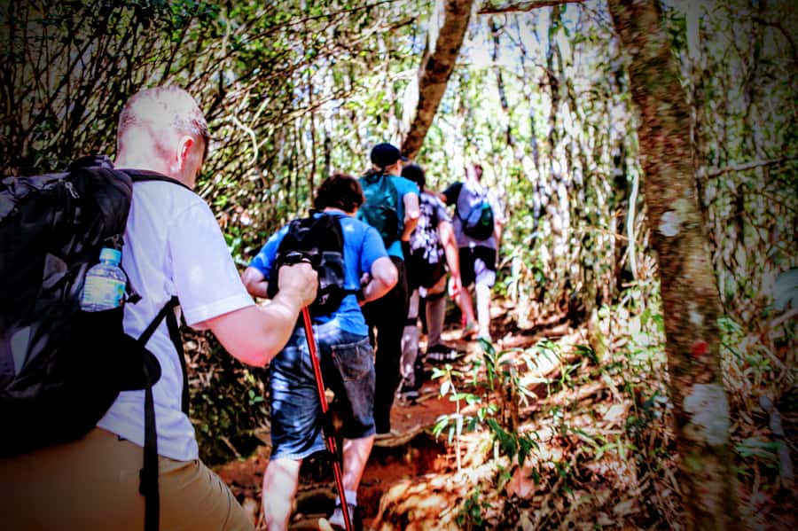 Rio: Tijuca Forest Small Group Hike to Caves and Waterfalls - Should you book this Tijuca Forest experience?