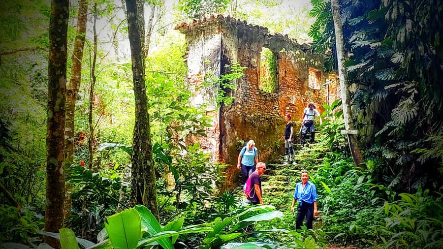 Rio: Tijuca Forest Small Group Hike to Caves and Waterfalls - Old trails, bridges, and plantation remains
