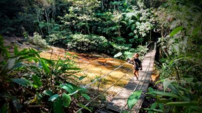 Rio: Tijuca Forest Small Group Hike to Caves and Waterfalls