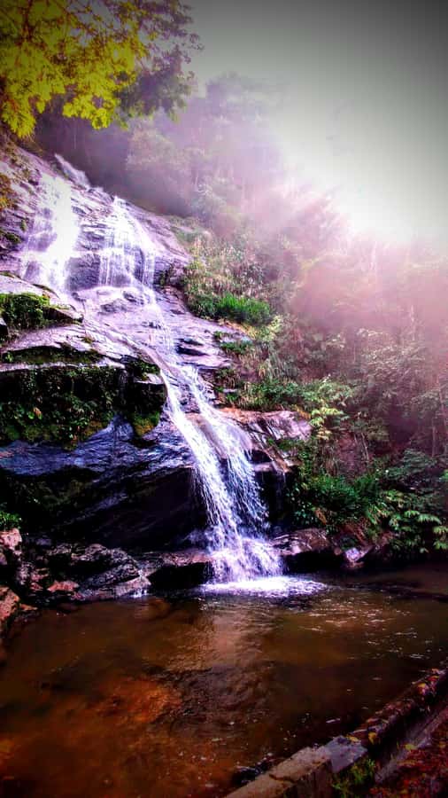 Rio: Tijuca Forest Small Group Hike to Caves and Waterfalls - How hard is the 6.2-kilometer route?