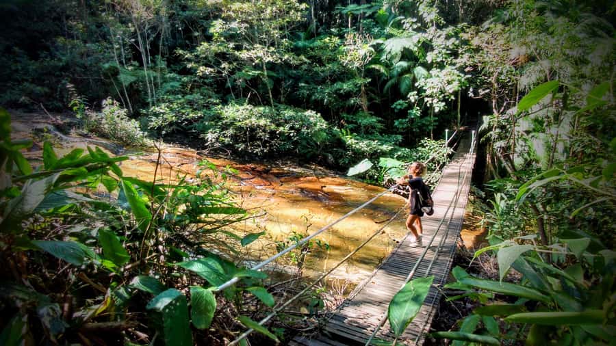 Rio: Tijuca Forest Small Group Hike to Caves and Waterfalls - From Taunay Waterfall to Mayrink Chapel
