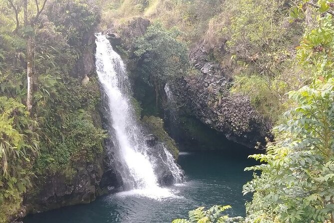 Road To Hana: Maui Waterfall Hiking Tour in Private Jeep - Banana bread, pineapple, and a local lunch
