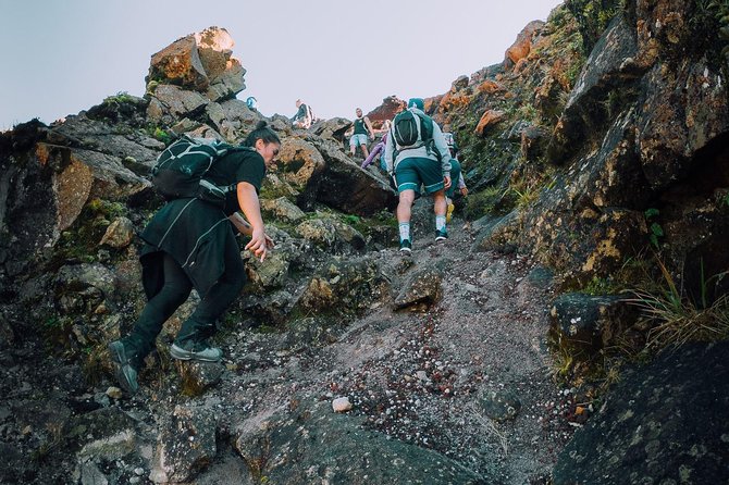 Rotorua Hiking: Mt Tarawera Guided Volcanic Crater Experience - Why the 1886 eruption still matters