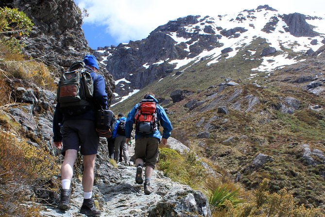 Routeburn Track Guided Hike (Full Day) - Key points before you book