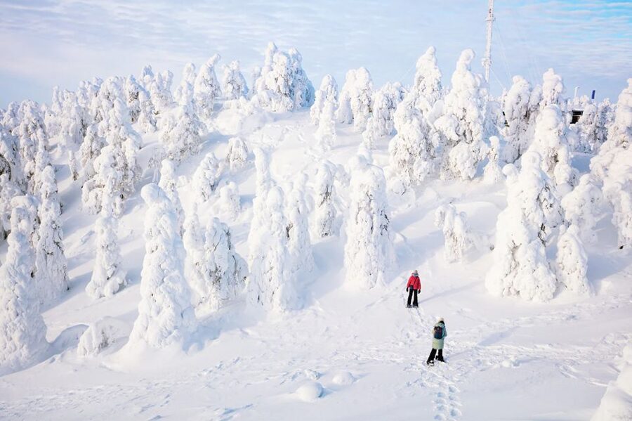 Rovaniemi: Hiking and Snowshoeing Adventure in Lapland - What makes this Arctic walk worth your time