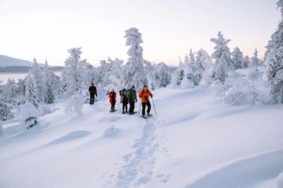 Hiking and Snowshoeing Adventure in Lapland