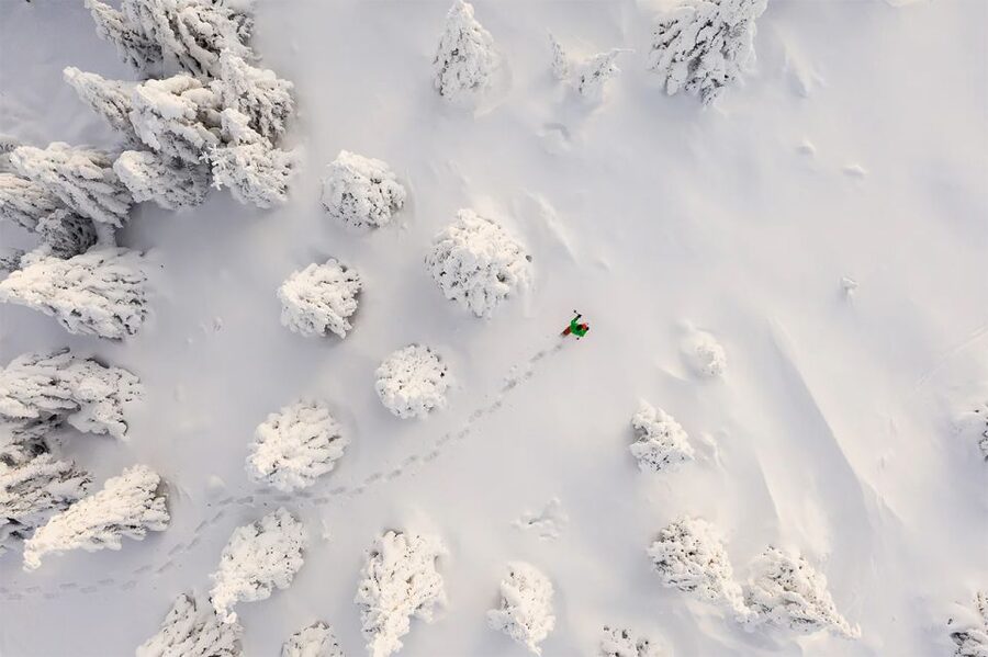 Rovaniemi: Hiking and Snowshoeing Adventure in Lapland - Learning about trees, animals, and Arctic conditions