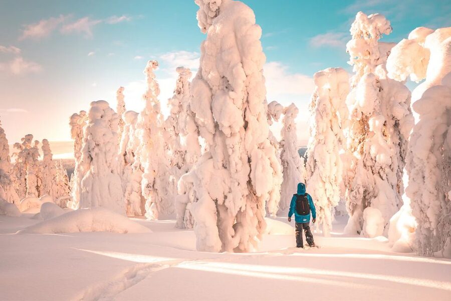 Rovaniemi: Hiking and Snowshoeing Adventure in Lapland - A warm cup of blueberry juice