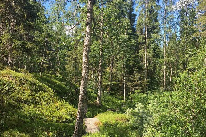 Rovaniemi Korouoma Canyon Hike and Barbecue Experience - The morning pickup from Rovaniemi