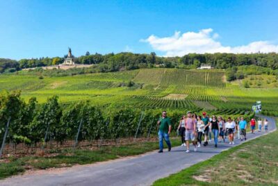 Rüdesheim – Guided wine hikes with 4wines and cable car ride