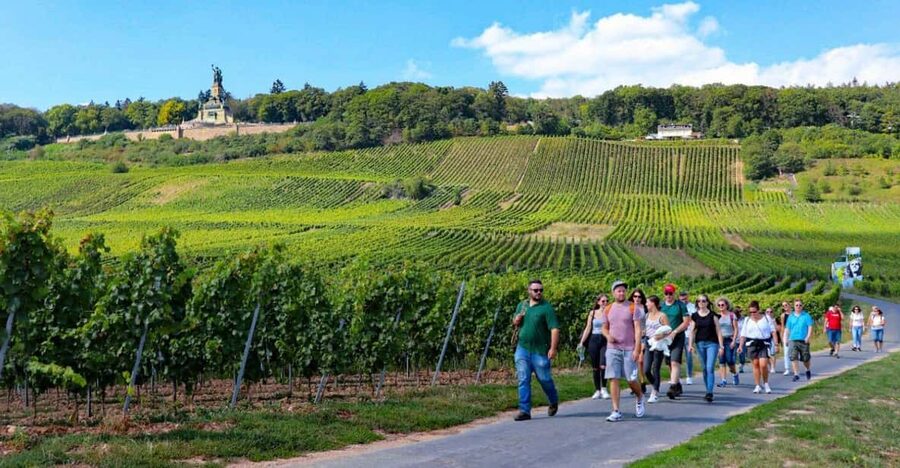 Rüdesheim - Guided wine hikes with 4wines and cable car ride - Four wines, sparkling wine, and a relaxed finish