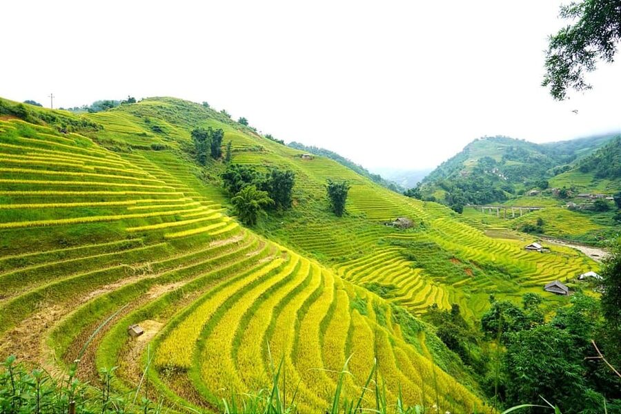Sa Pa: Half-Day Cat Cat Village Hike to Meet H'mong People - Final booking advice