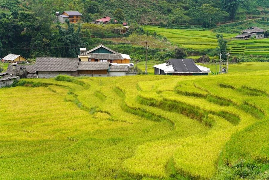 Sa Pa: Half-Day Cat Cat Village Hike to Meet H'mong People - What this Sa Pa outing really offers