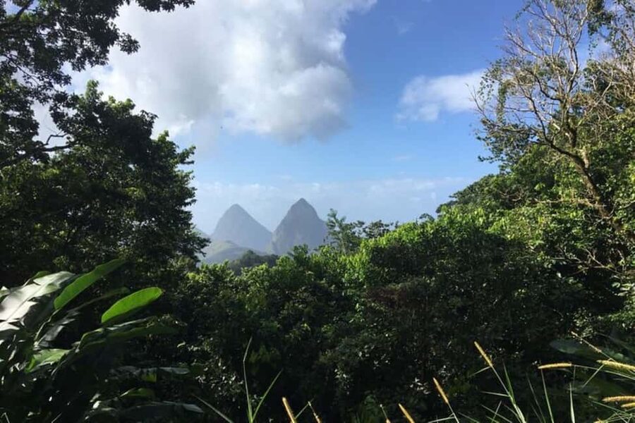 Saint Lucia: Tet Paul Nature Trail Hiking Tour & Beach - The long road to Tet Paul