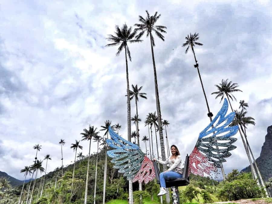 Salento/Pereira: Cocora Valley & Salento Hiking Private Tour - Key points to know before booking