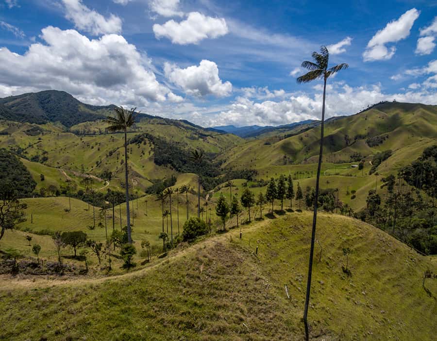 Salento/Pereira: Cocora Valley & Salento Hiking Private Tour - Why Cocora Valley is worth the effort